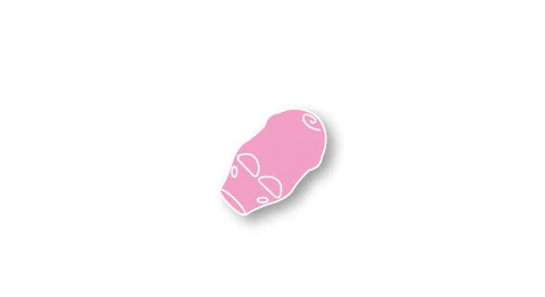 Smart Farmer - Pig - Replacement Part ONLY